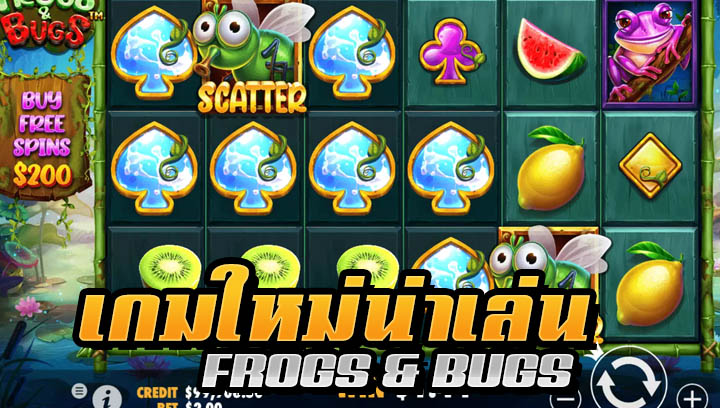 new Frogs Bugs